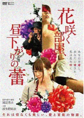土耳其电影网修复档案:路
